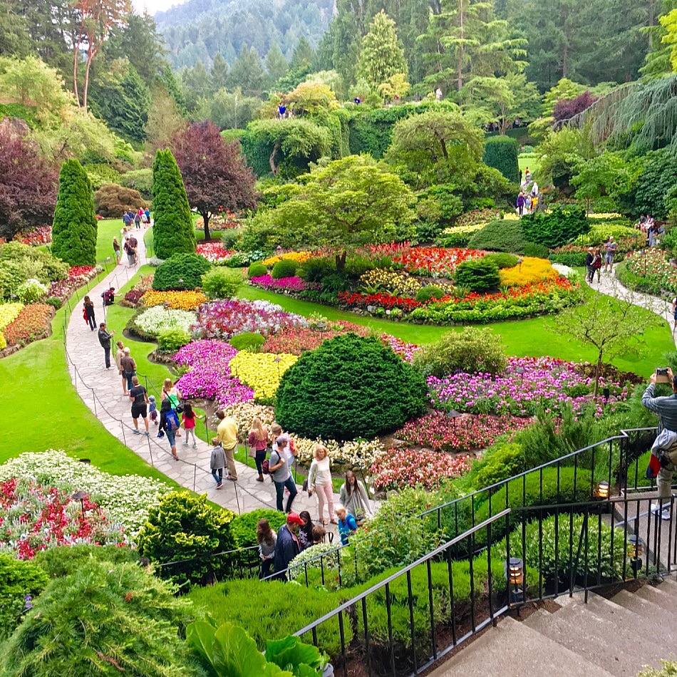 Butchart Gardens Victoria, things to see in Victoria British Columbia, what to do in British Columbia, sightseeing in Victoria British Columbia